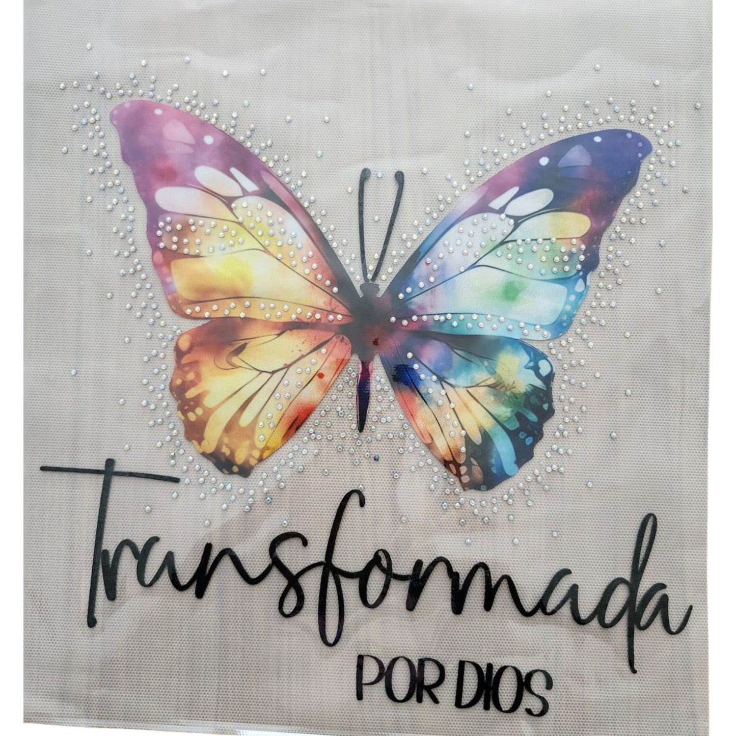 TRANSFERENCIA EN FULL PEDRERIA P93